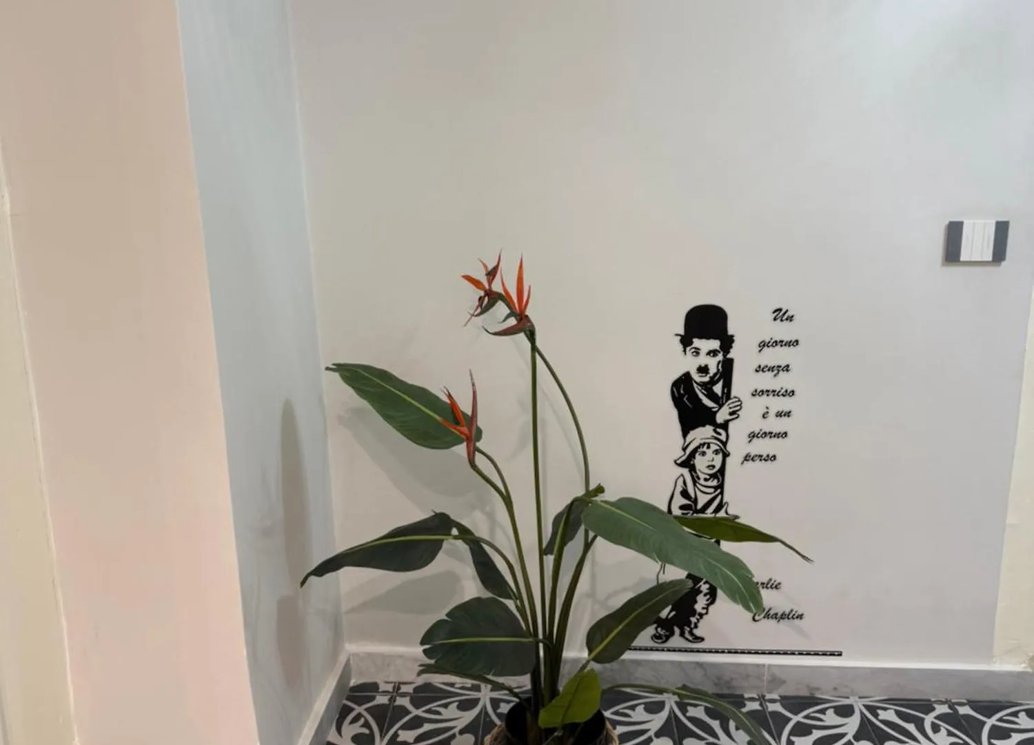 הוילה פלרמו Elisir House
